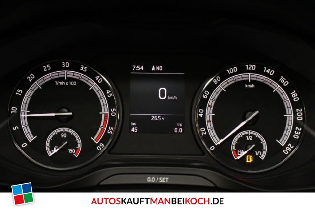 Kodiaq 2.0 TDI 4x4 LED Navi SHZ PDC Klimaaut Kessy / Foto 7