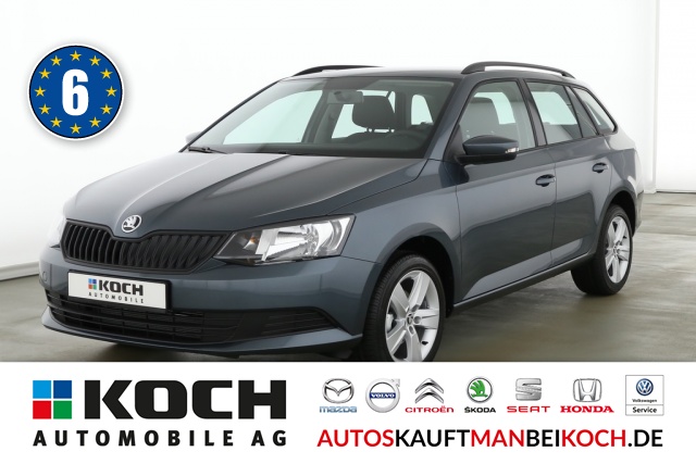 Fabia Combi 1,0 TSI Cool-Hot SHZ, FSE, PDC, Alu / Foto 1