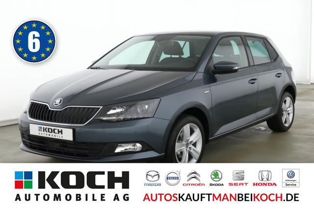 Fabia 1.0 TSI Drive Klimaaut SHZ Licht und Sicht / Foto 1