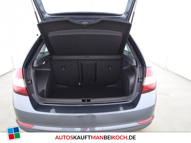 Rapid Spaceback 1.0 TSI Drive DSG Xenon Klimaaut / Foto 7
