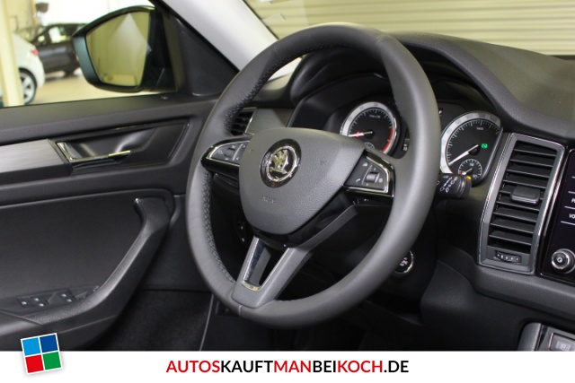 Kodiaq 2.0 TSI DSG 4x4 Voll LED Navi SHZ PDC AHK / Foto 6