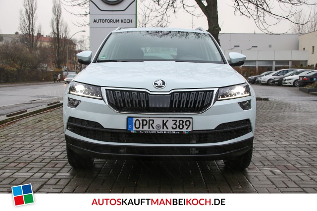 Karoq 2.0 TDI DSG Style 4x4 Canton Columbus Leder / Foto 2