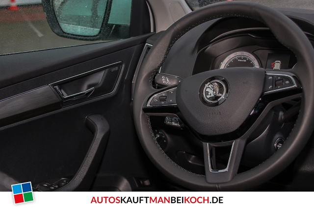 Karoq 2.0 TDI DSG Style 4x4 Canton Columbus Leder / Foto 8