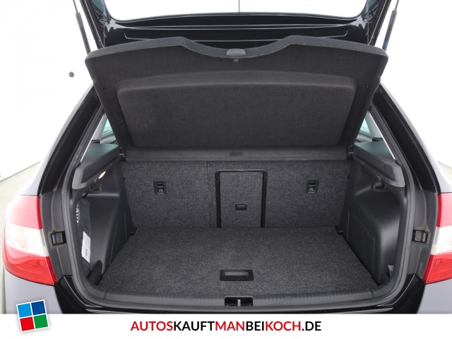 Rapid Spaceback 1.4 TSI DSG Klimaaut SHZ 1.Hand AH / Foto 7