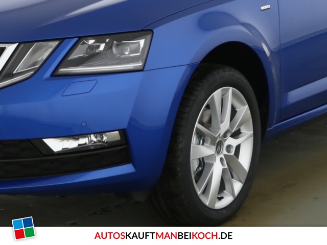 Octavia Combi III 1.0TSI DSG Clever Navi LichtSich / Foto 8