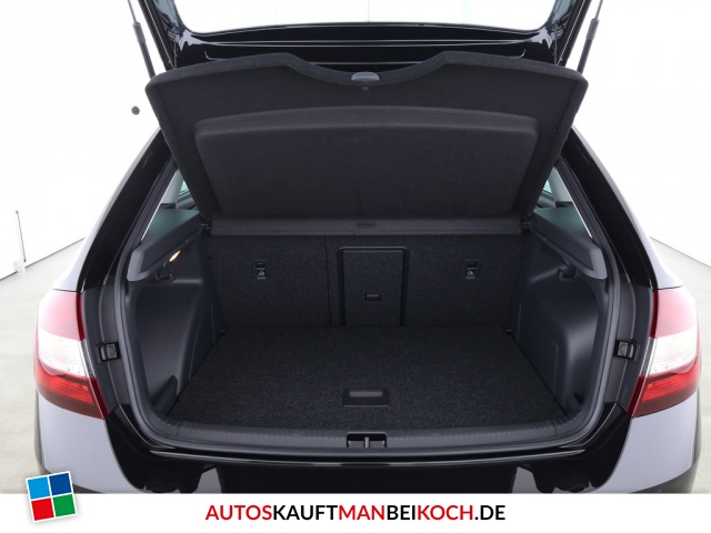 Rapid Spaceback 1.0 TSI Clever Navi Kamera / Foto 7