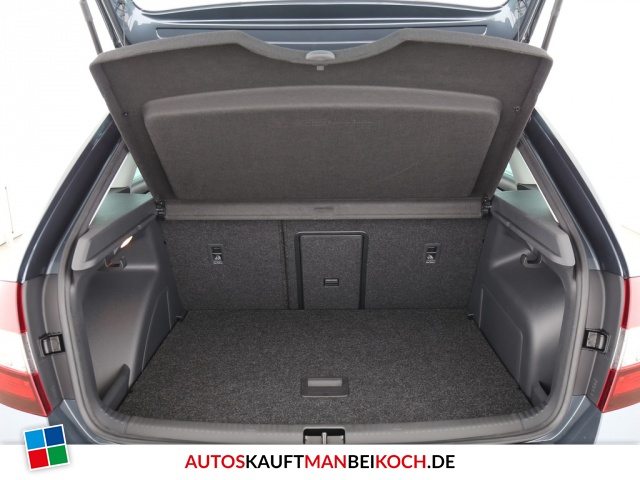 Rapid Spaceback 1.0 TSI Drive Licht + Sicht / Foto 7