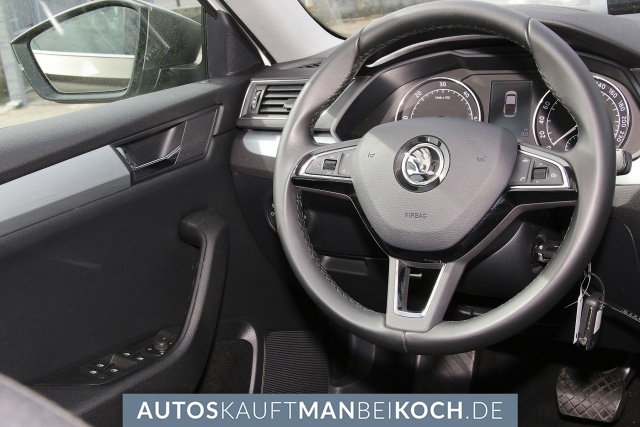 Superb 1.6 TDI DSG EU6 Ambition Navi Xenon Mattgra / Foto 8