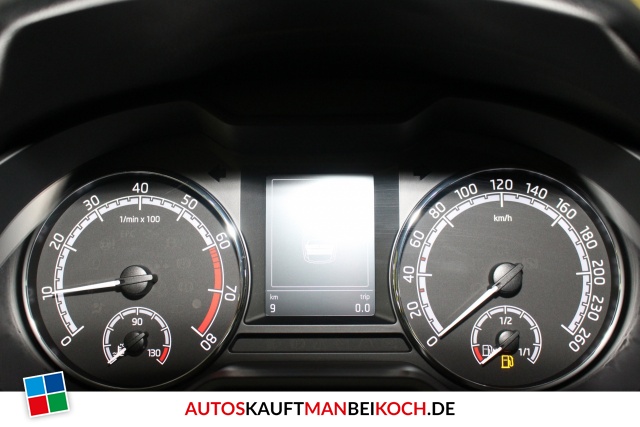 Octavia Combi Facelift 1.0 TSI Klima SHZ PDC DAB / Foto 7