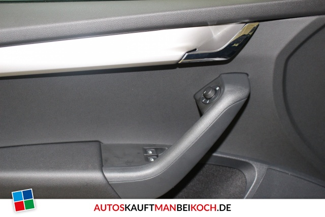 Octavia Combi Facelift 1.0 TSI Klima SHZ PDC DAB / Foto 8