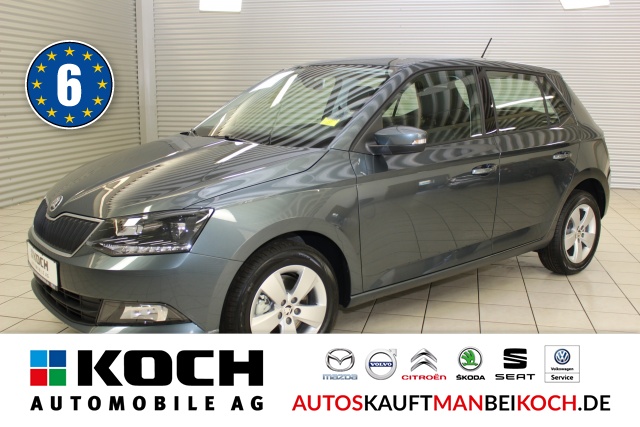 Fabia 1.0 TSI DSG Style Klimaaut. SHZ PDC Temp. / Foto 1