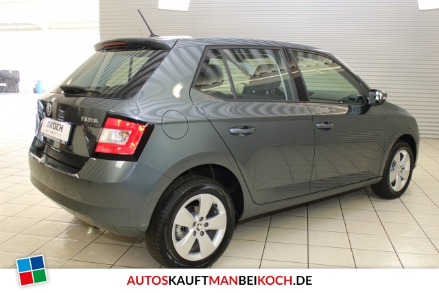 Fabia 1.0 TSI DSG Style Klimaaut. SHZ PDC Temp. / Foto 2
