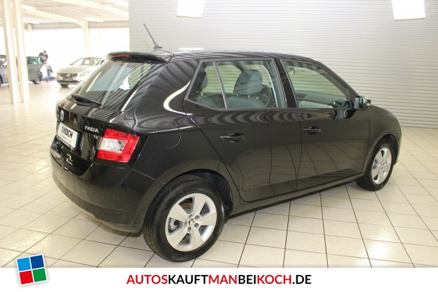 Fabia III 1.2 TSI DSG Ambition Klima SHZ PDC 1.Hd / Foto 2