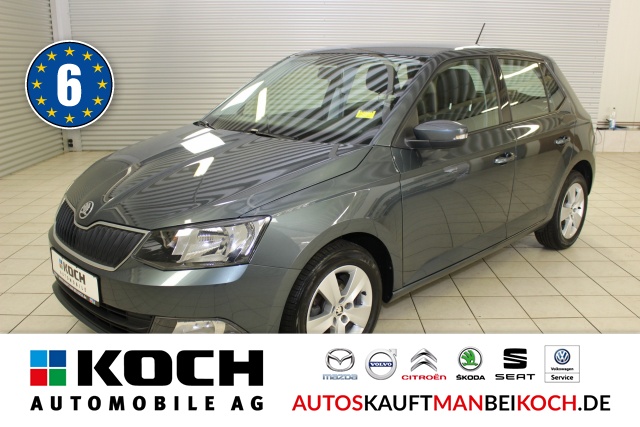 Fabia 1.0 TSI Ambition Klima PDC FSE Alu / Foto 1