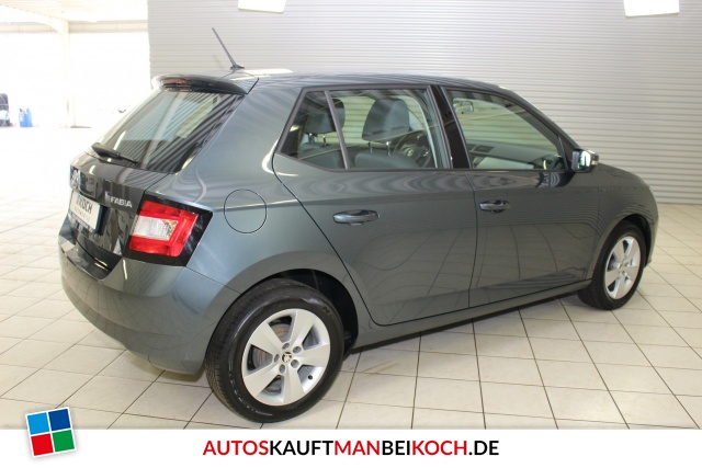 Fabia 1.0 TSI Ambition Klima PDC FSE Alu / Foto 2