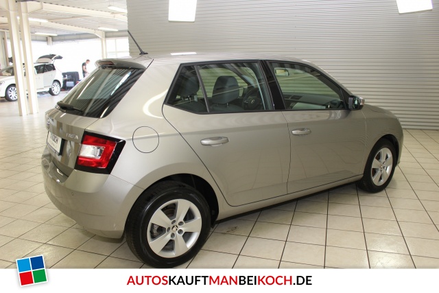 Fabia 1.0 TSI Ambition 110 PS Klima PDC FSE Alu / Foto 3