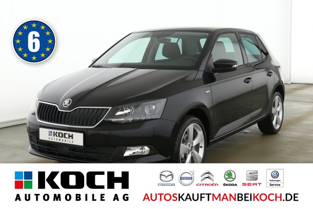 Fabia 1.0 TSI Clever Klima SHZ PDC Alu / Foto 1