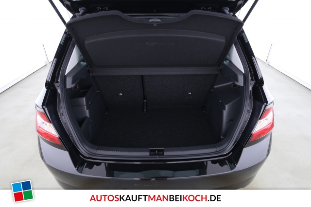 Fabia 1.0 TSI Clever Klima SHZ PDC Alu / Foto 7