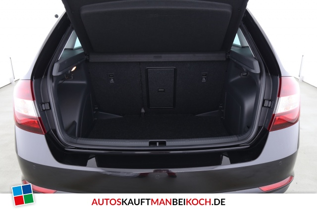 Rapid Spaceback 1.4 TSI DSG Clever Navi Xenon / Foto 7