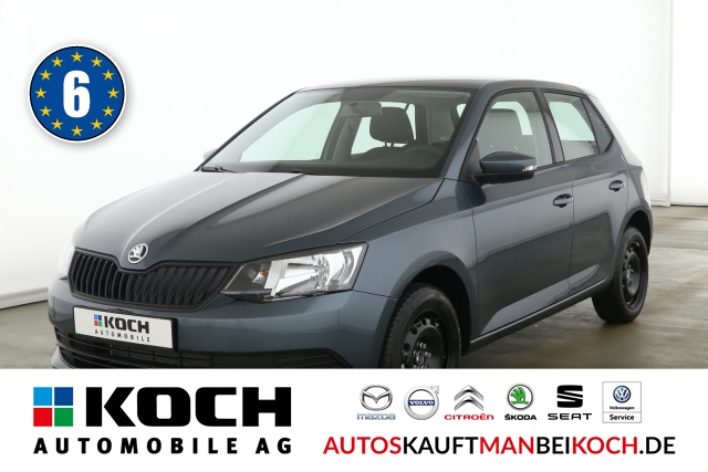 Fabia 1.0 MPI ICKEKLICKE Allwetter Sitzheizung Par / Foto 1