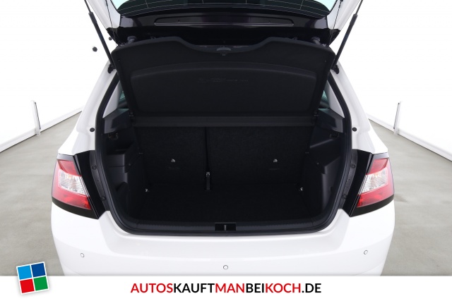 Fabia R5 1.4 TSI DSG Navi Klima SHZ, ACC / Foto 7