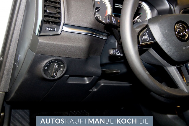 Karoq 2.0 TDI SCR 4x4 Style Assistenzp, FSE Leder / Foto 9