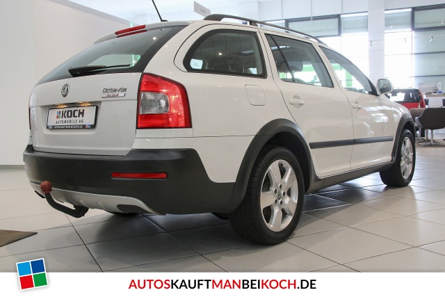 Octavia Combi 2.0 TDI DSG 4x4 Scout AHK PDC Glasda / Foto 3