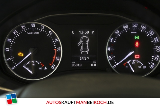 Octavia Combi 2.0 TDI DSG 4x4 Scout AHK PDC Glasda / Foto 9