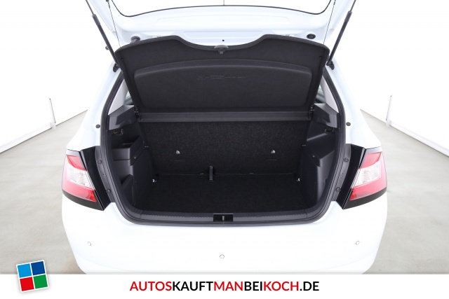 Fabia III 1.0TSI ICKEKLICKE SHZ PDC Allw. Cool / Foto 7