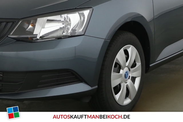 Fabia 1.0 TSI Cool Plus ICKEKLICKE SHZ PDC / Foto 8