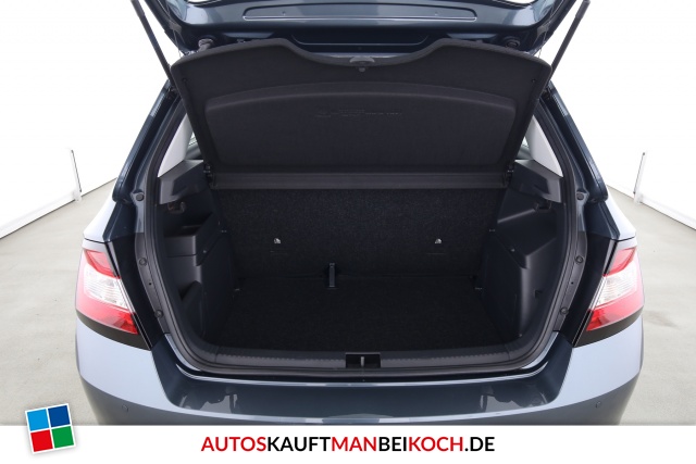 Fabia 1.0 TSI Cool Plus ICKEKLICKE SHZ PDC / Foto 7