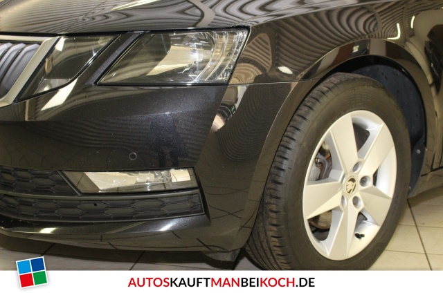 Octavia Combi III 1.4 TSI Ambition Klimaaut PDC SH / Foto 2